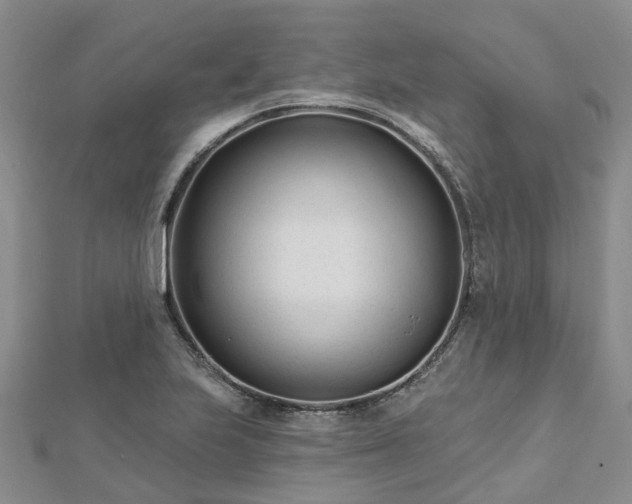 X0000112481223200908241247