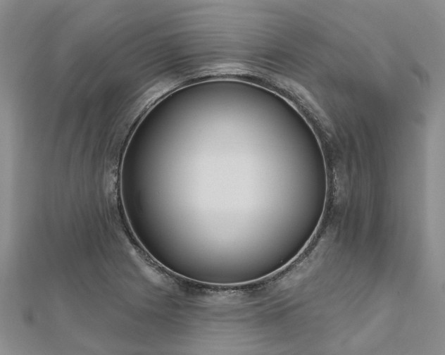 X0000112481225200908241247