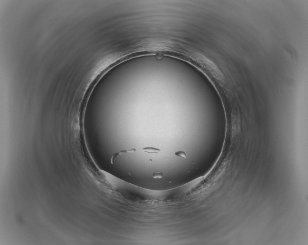 X0000112481226200908241247