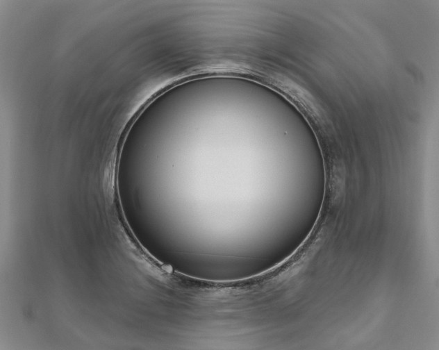 X0000112481228200908241247
