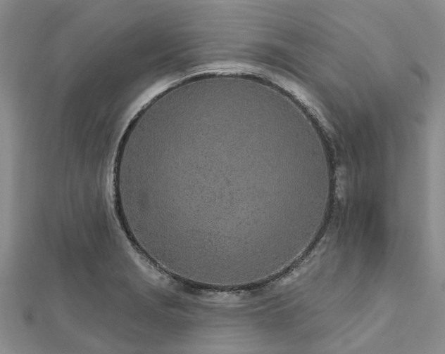 X0000112481229200908241247