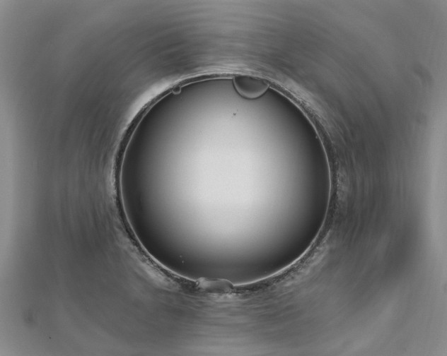 X0000112481230200908241247