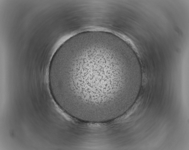 X0000112481231200908241247