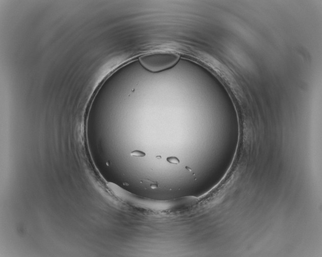 X0000112481234200908241247