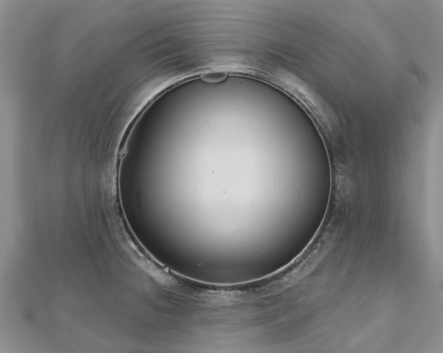 X0000112481236200908241247
