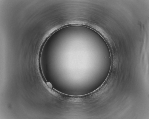 X0000112481237200908241247