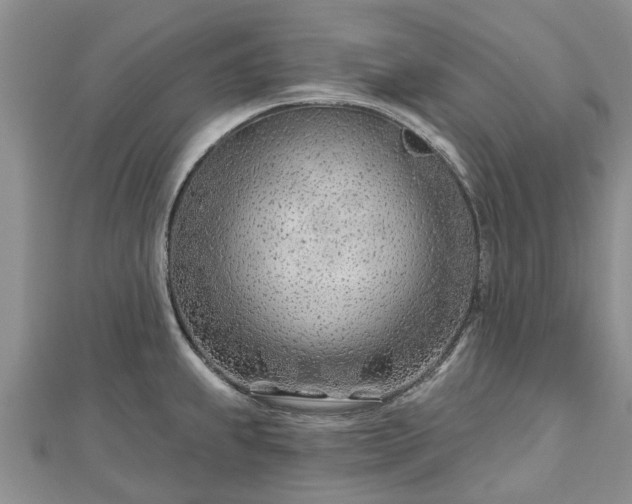 X0000112481239200908241247