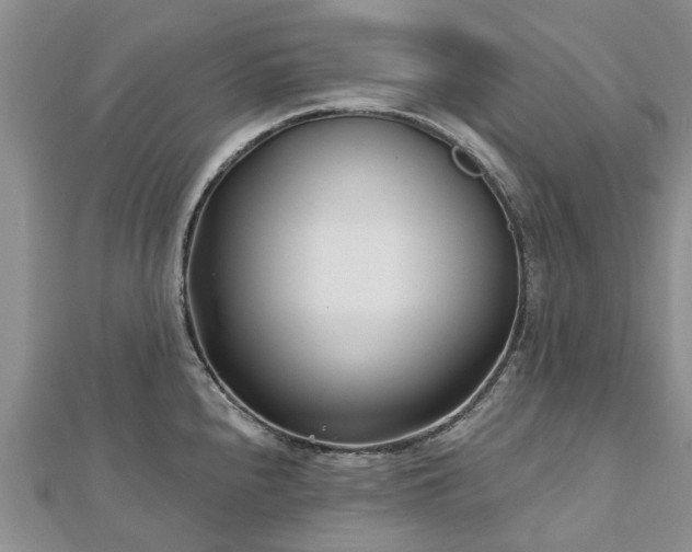 X0000112481240200908241247