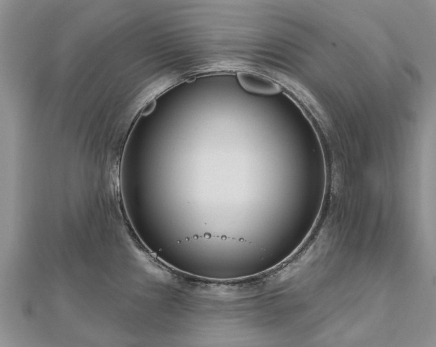 X0000112481241200908241247