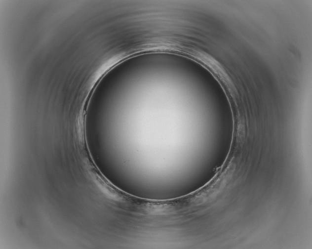 X0000112481242200908241247