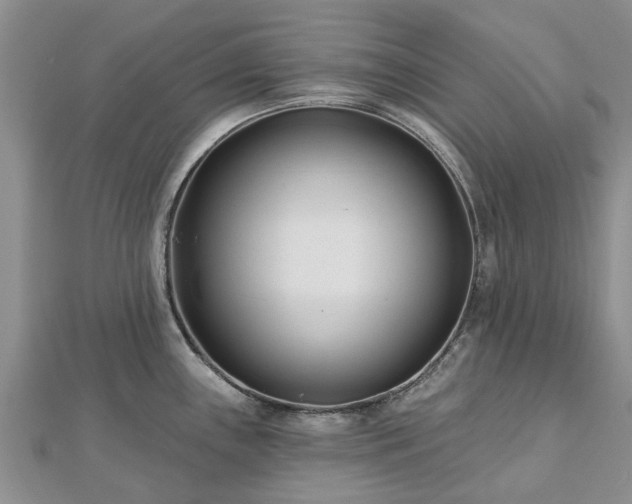 X0000112481243200908241247