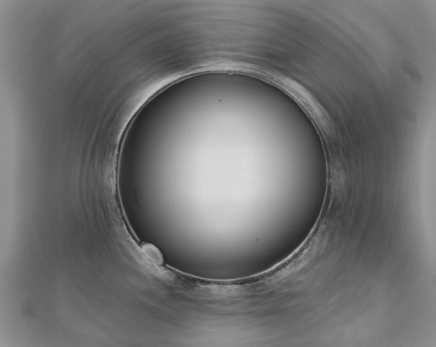 X0000112481244200908241247