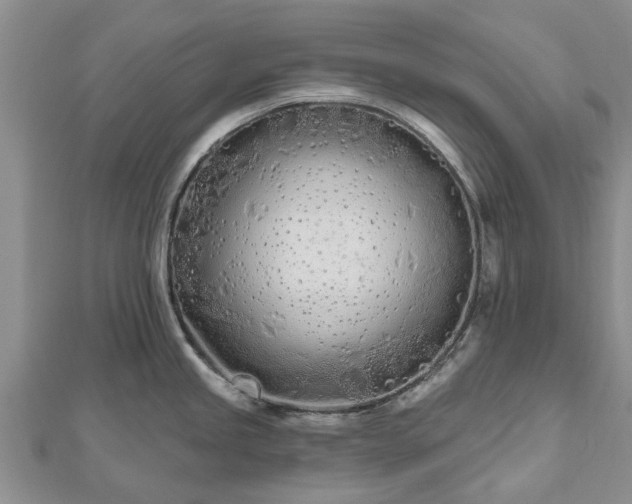 X0000112481245200908241247