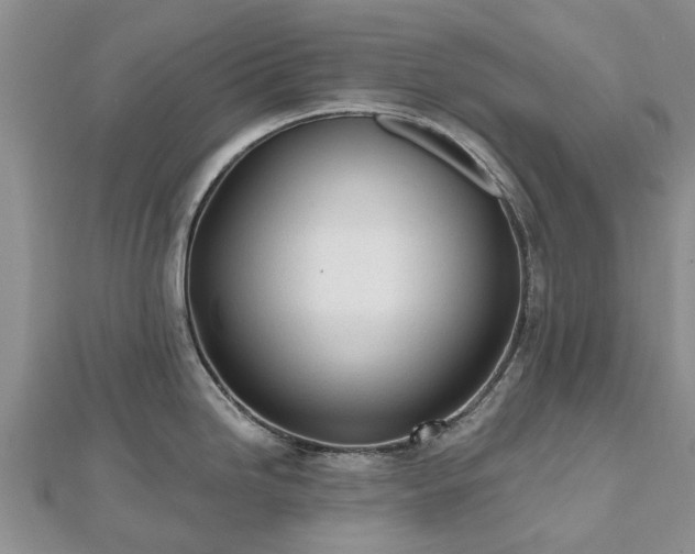 X0000112481246200908241247