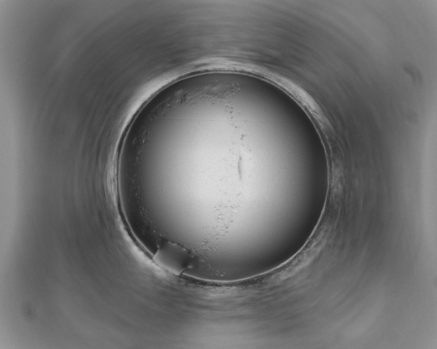X0000112481247200908241247