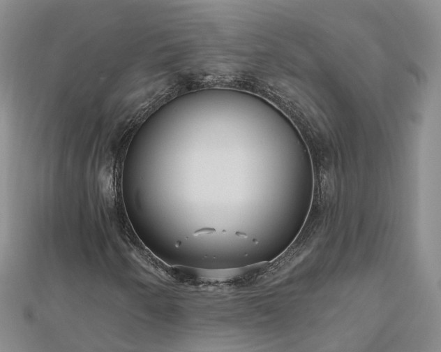 X0000112481250200908241247