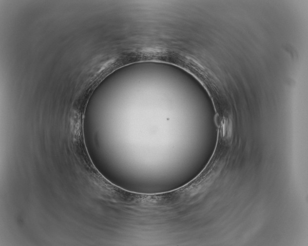 X0000112481251200908241247