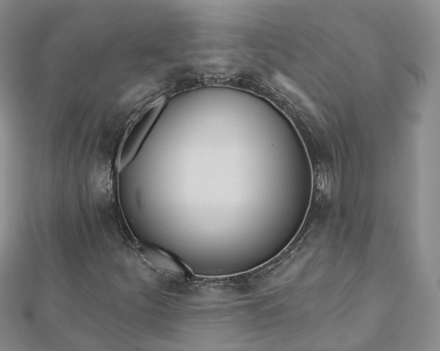 X0000112481252200908241247