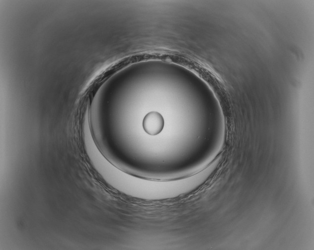 X0000112481256200908241246