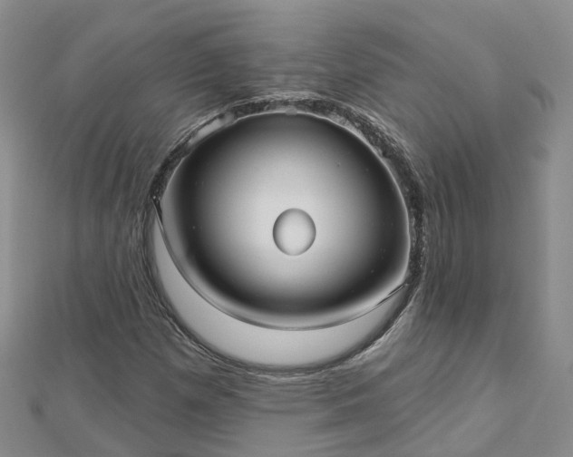 X0000112481257200908241246