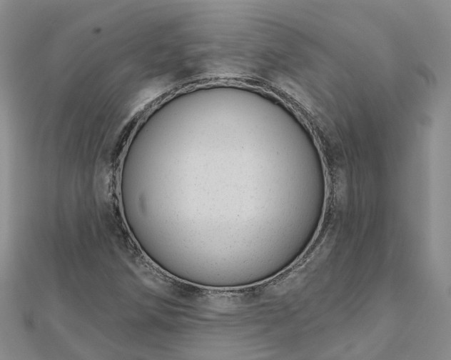 X0000112481258200908241246