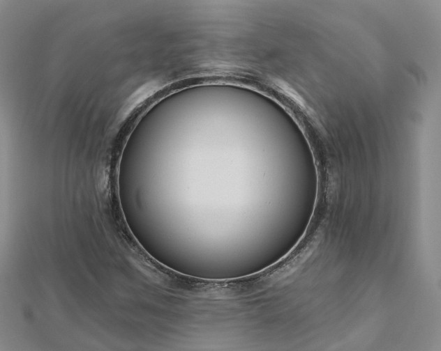 X0000112481259200908241246