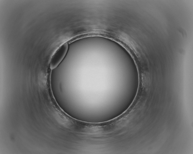 X0000112481260200908241246