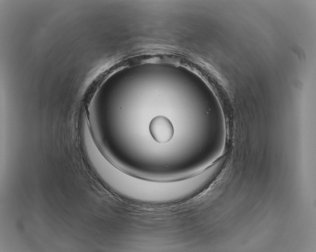X0000112481261200908241246