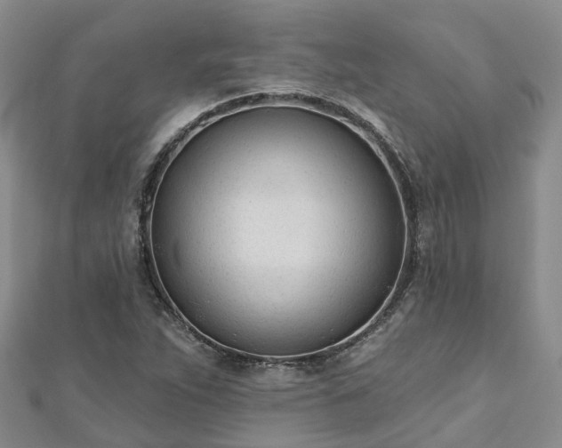 X0000112481263200908241246