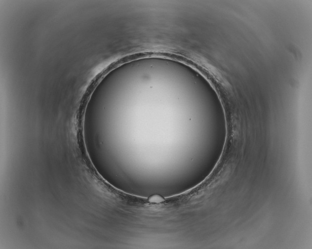 X0000112481264200908241246