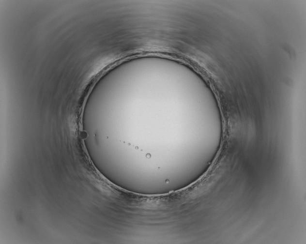 X0000112481266200908241246