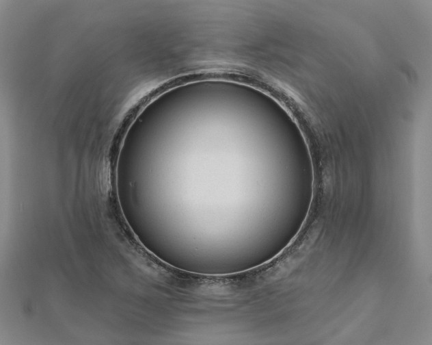 X0000112481267200908241246