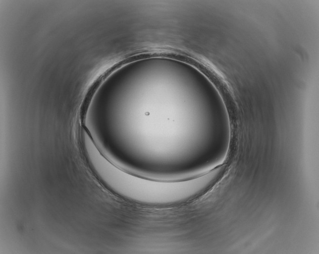 X0000112481269200908241246