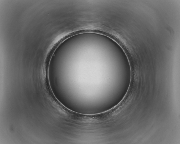 X0000112481270200908241246