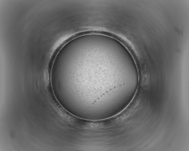 X0000112481271200908241246