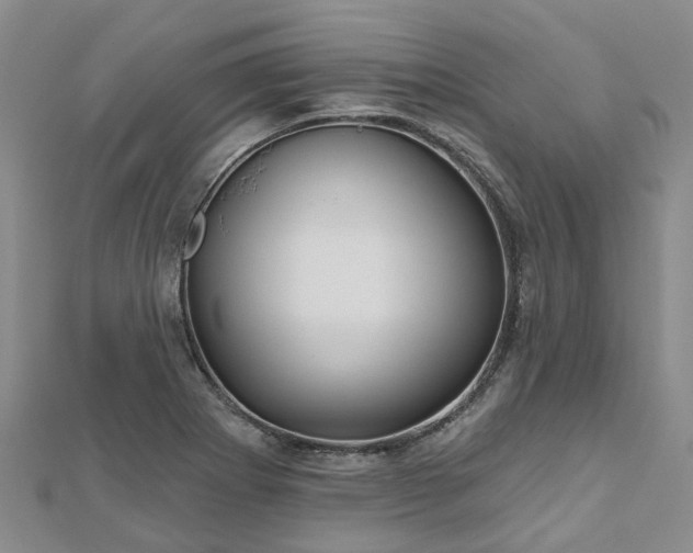 X0000112481273200908241246
