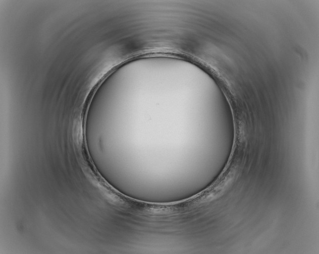 X0000112481274200908241246