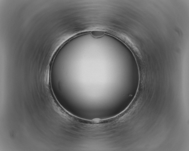 X0000112481276200908241246