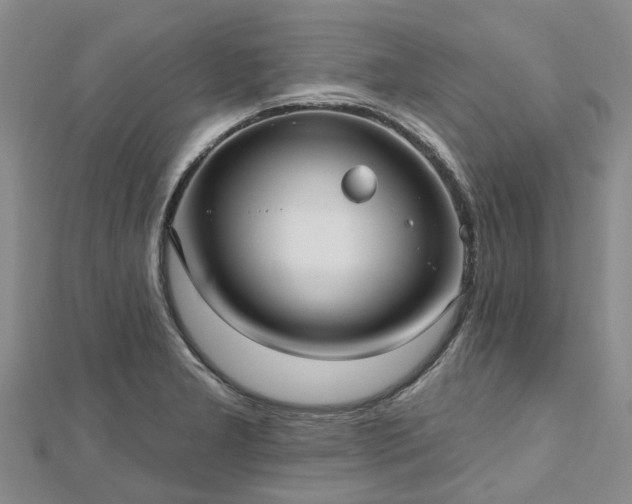 X0000112481277200908241246