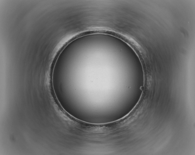 X0000112481279200908241246