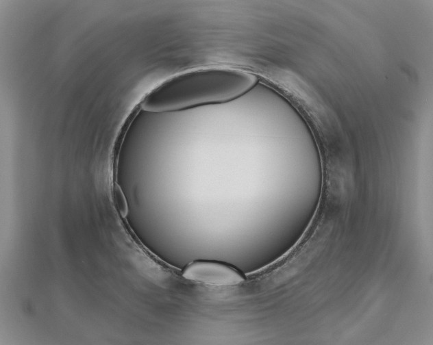 X0000112481280200908241246