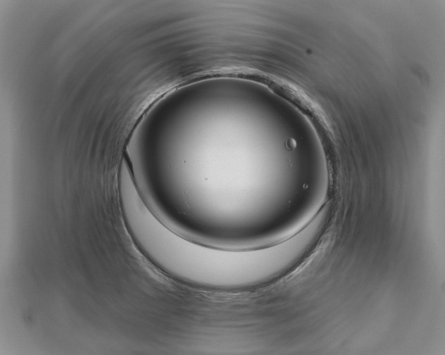 X0000112481281200908241246