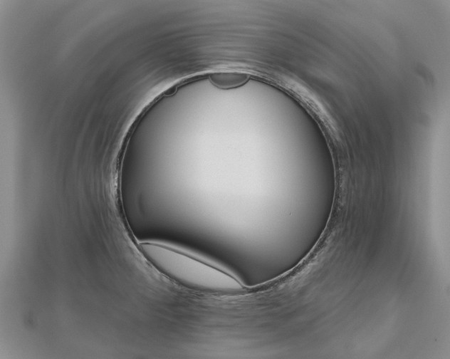 X0000112481284200908241246