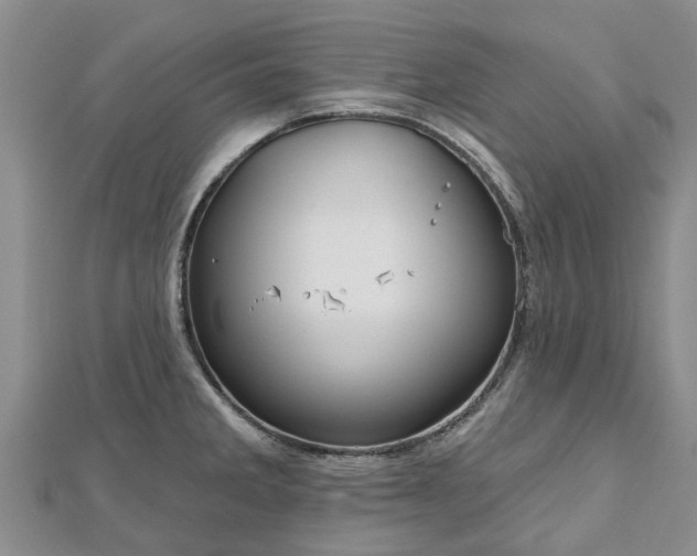 X0000112481285200908241246