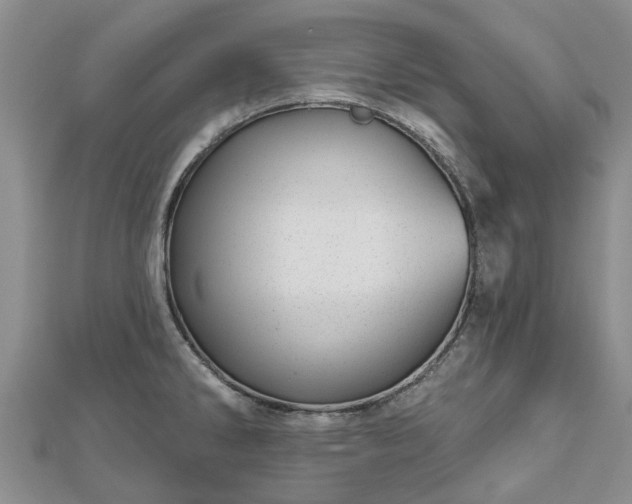 X0000112481286200908241246
