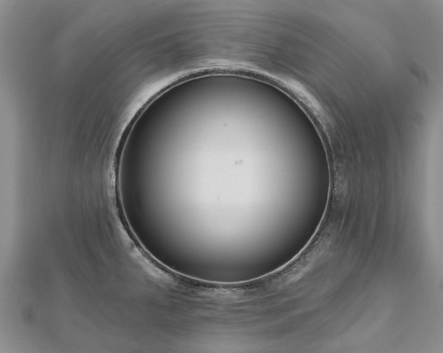 X0000112481287200908241246