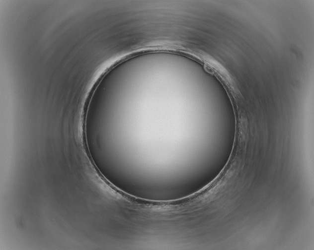 X0000112481288200908241246