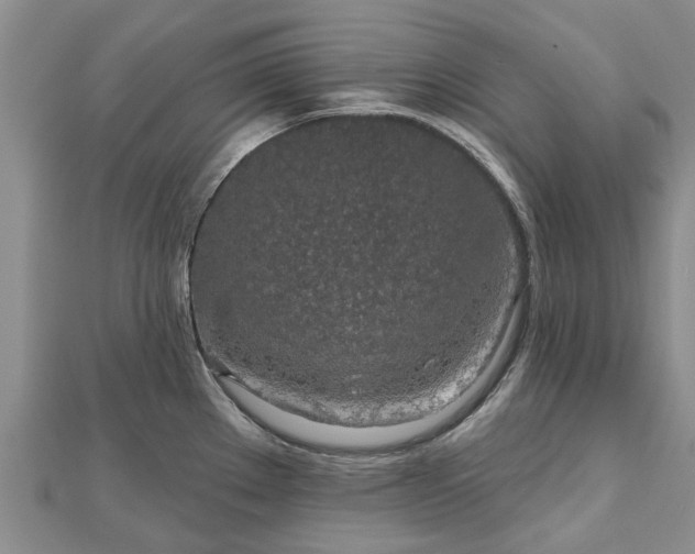 X0000112481289200908241246