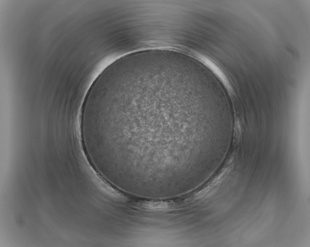 X0000112481291200908241246