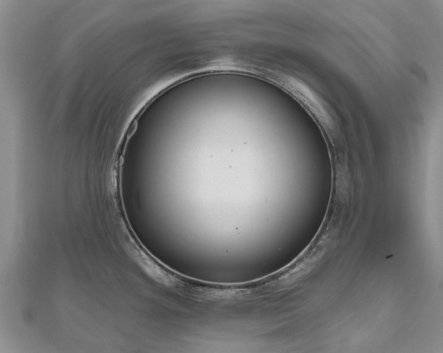 X0000112481292200908241246